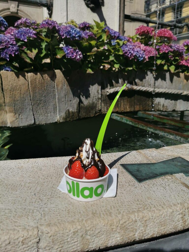 Llaollao frozen yogurt -Most healthy desserts in Geneva and number 1 in the world. 28