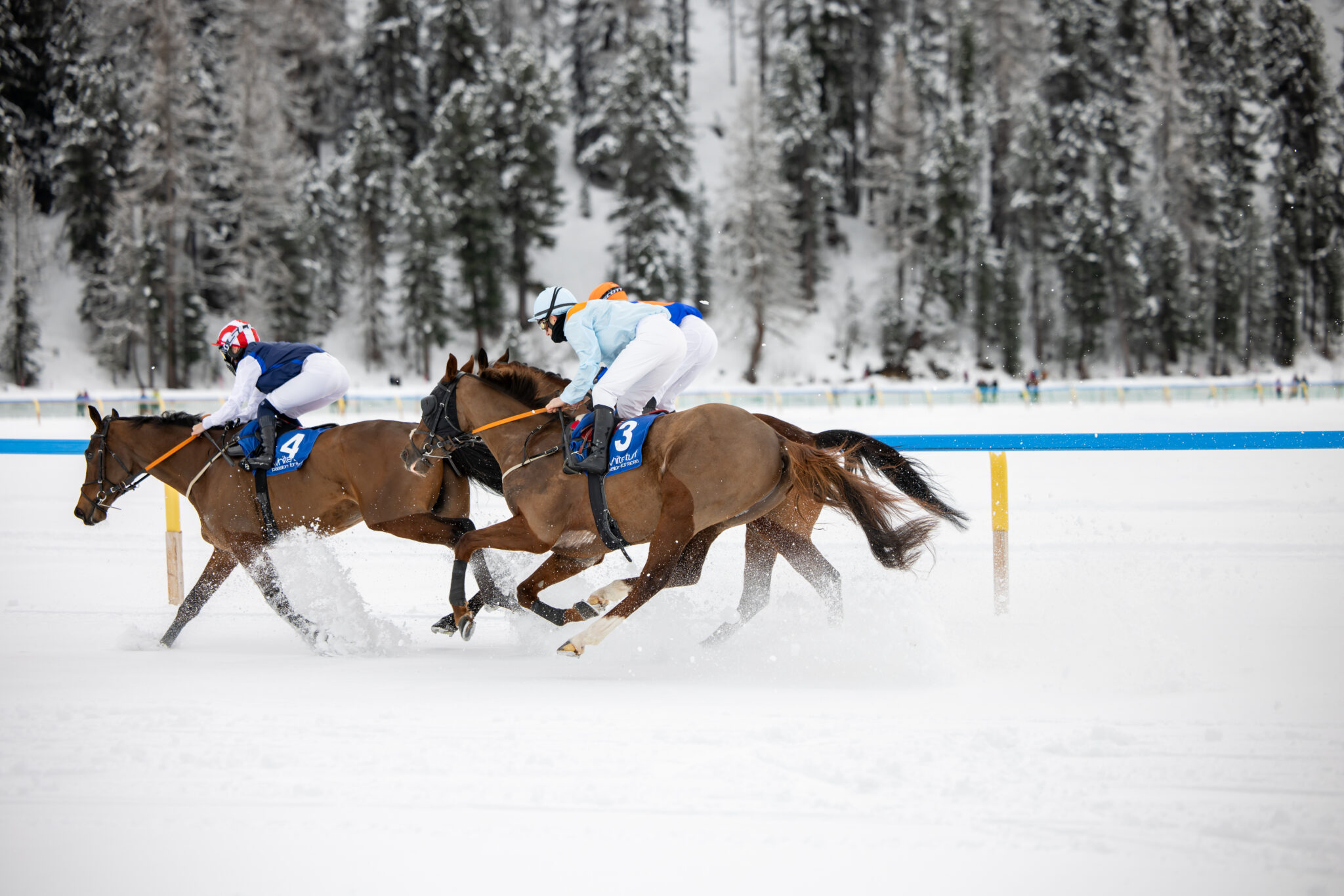 White Turf 2024 in St. Moritz. Where Sports Spectacle Meet Nature and High Society. All you need to know about this incredible event.