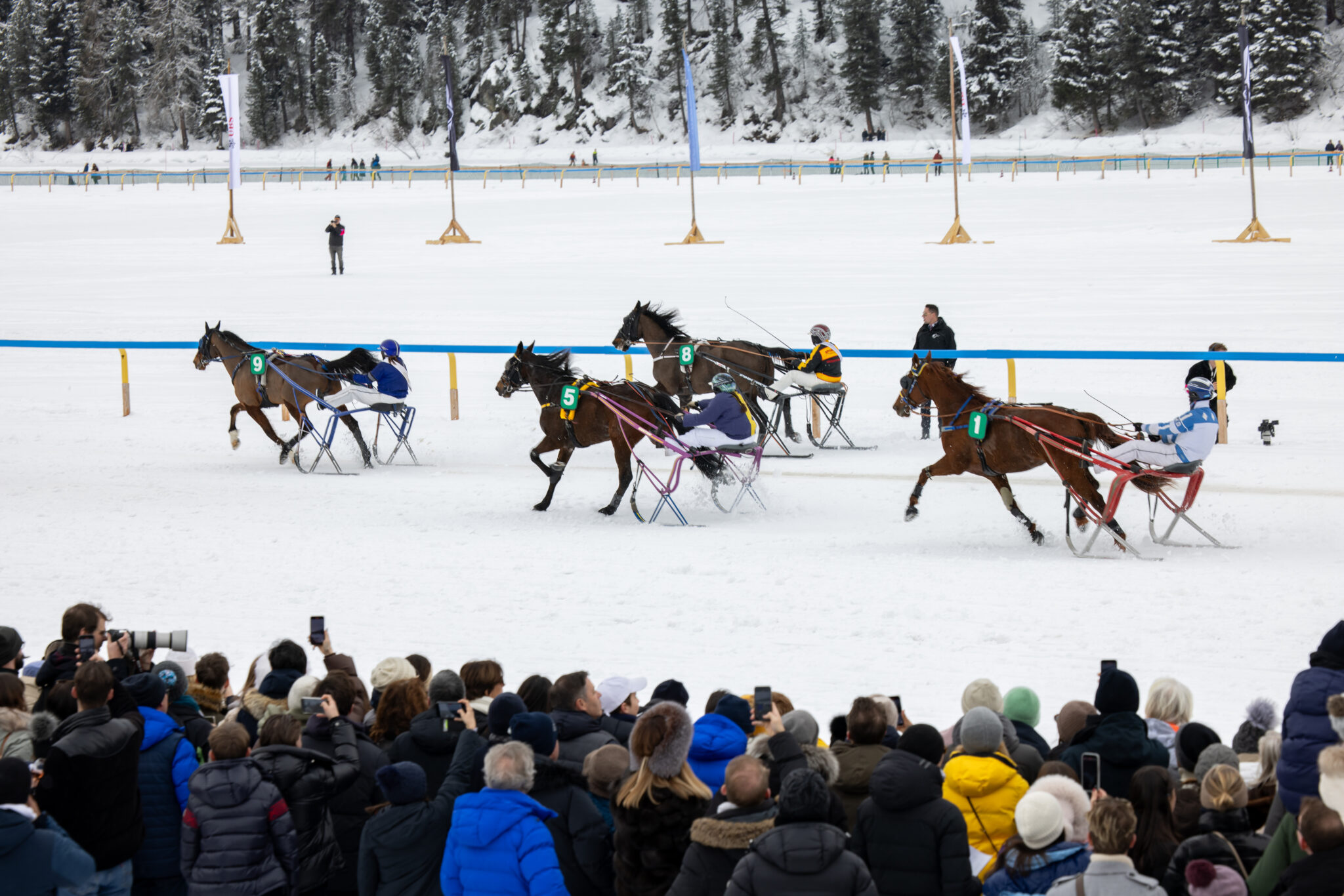 White Turf 2024 in St. Moritz. Where Sports Spectacle Meet Nature and High Society. All you need to know about this incredible event.