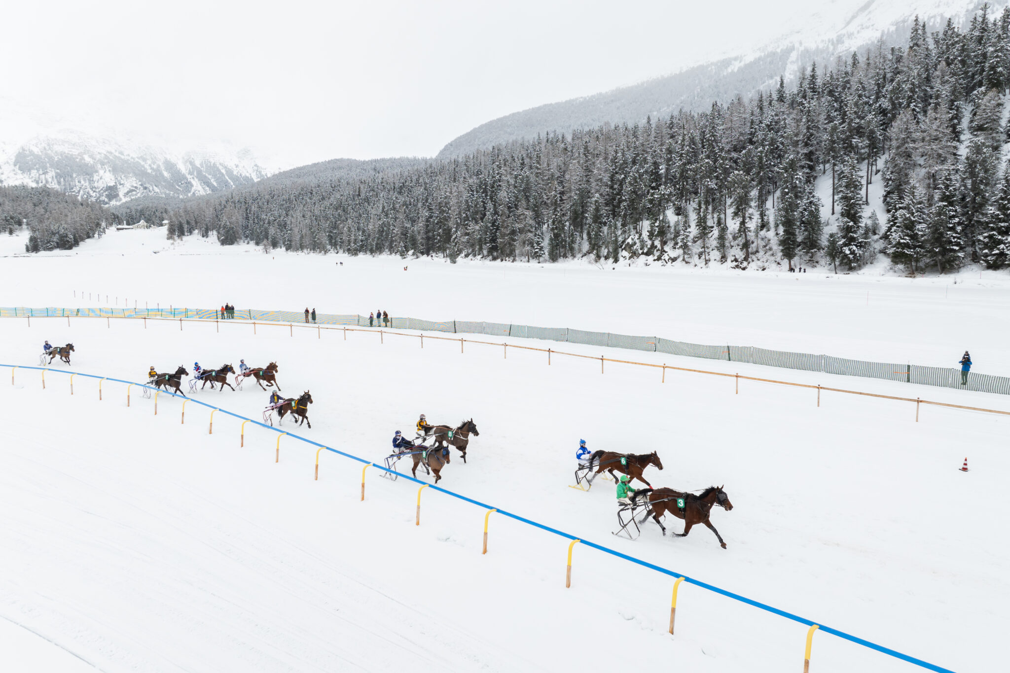 White Turf 2024 in St. Moritz. Where Sports Spectacle Meet Nature and High Society. All you need to know about this incredible event.