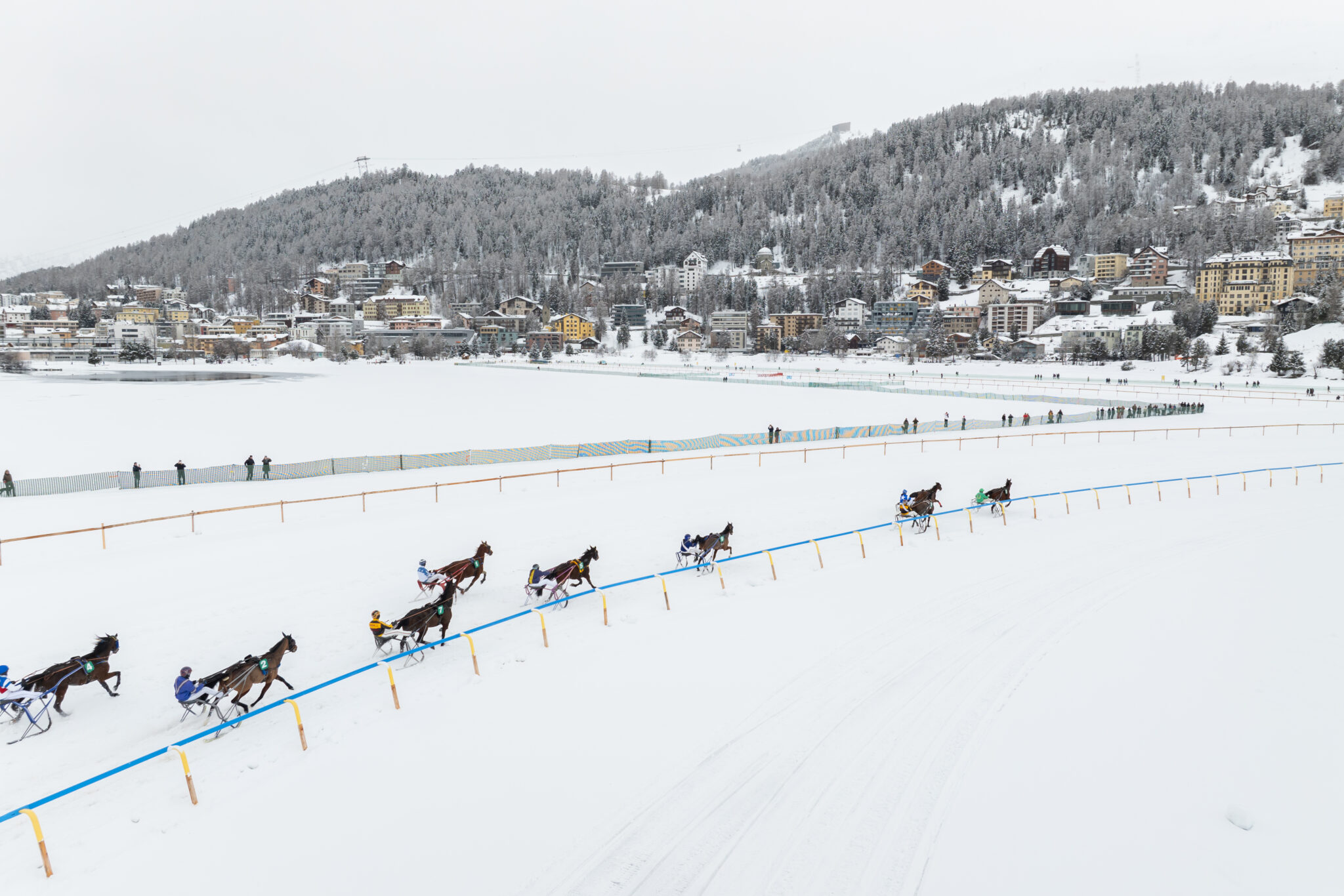 White Turf 2024 in St. Moritz. Where Sports Spectacle Meet Nature and High Society. All you need to know about this incredible event.