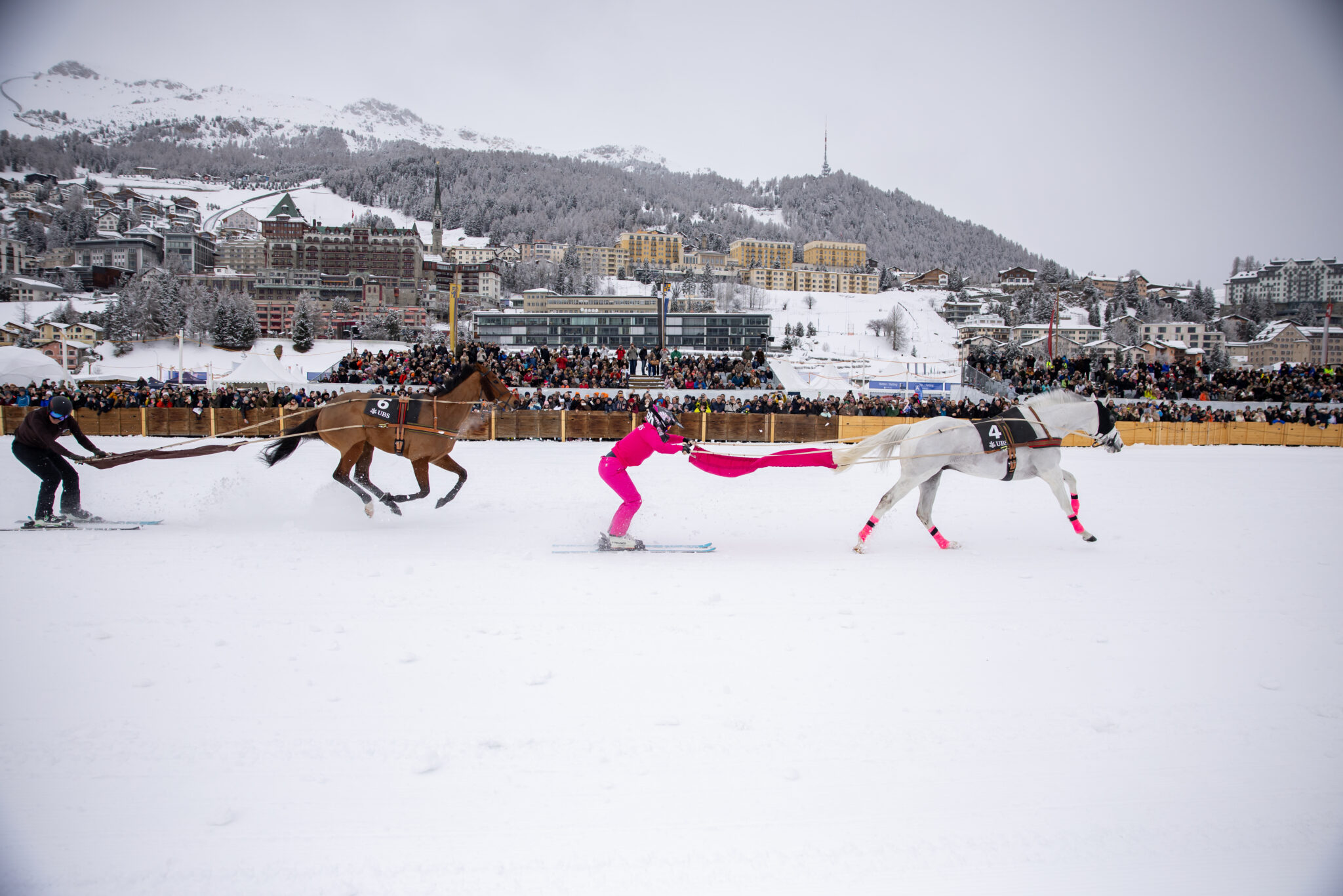 White Turf 2024 in St. Moritz. Where Sports Spectacle Meet Nature and High Society. All you need to know about this incredible event.