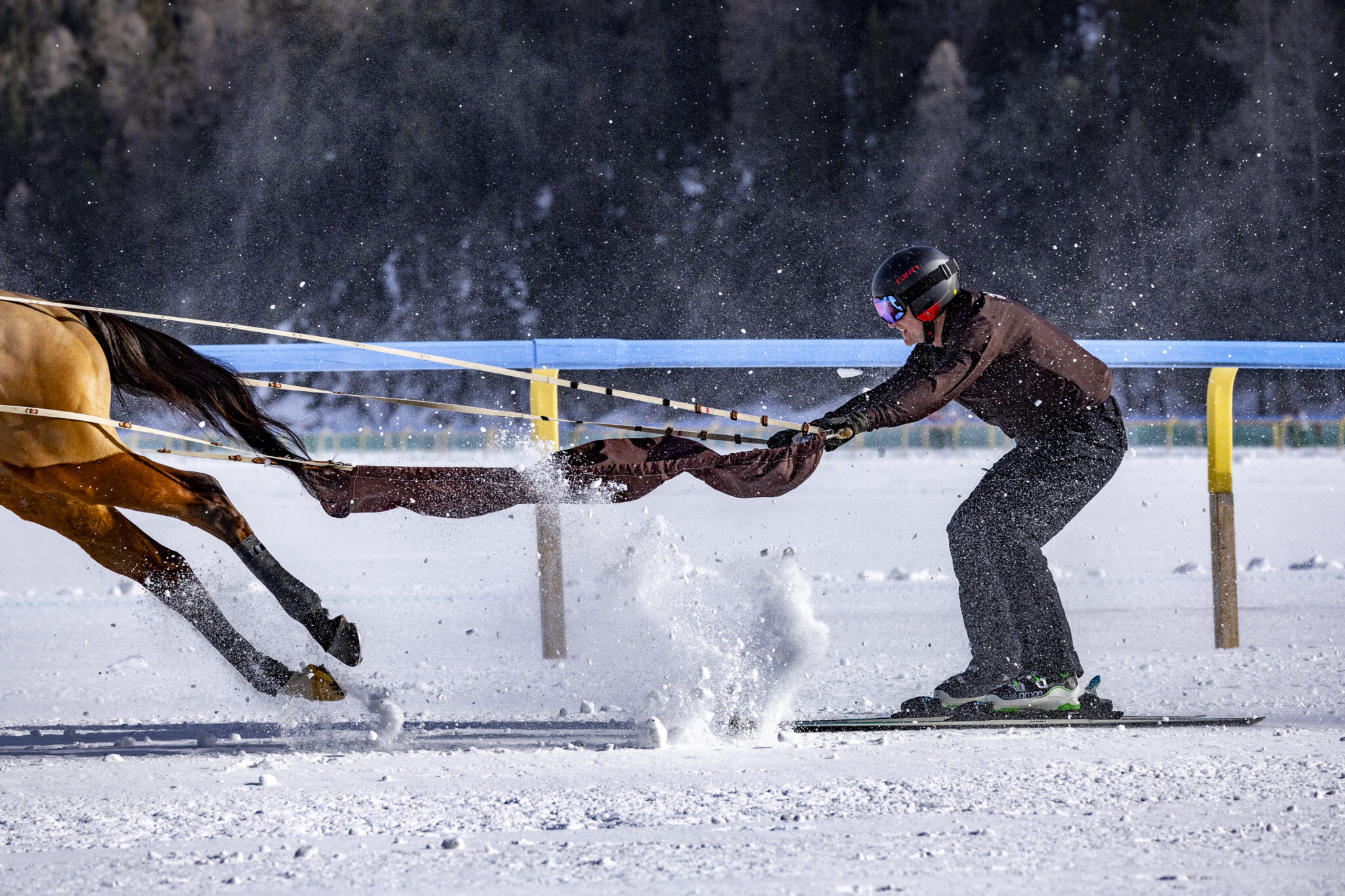 White Turf 2024 in St. Moritz. Where Sports Spectacle Meet Nature and High Society. All you need to know about this incredible event.