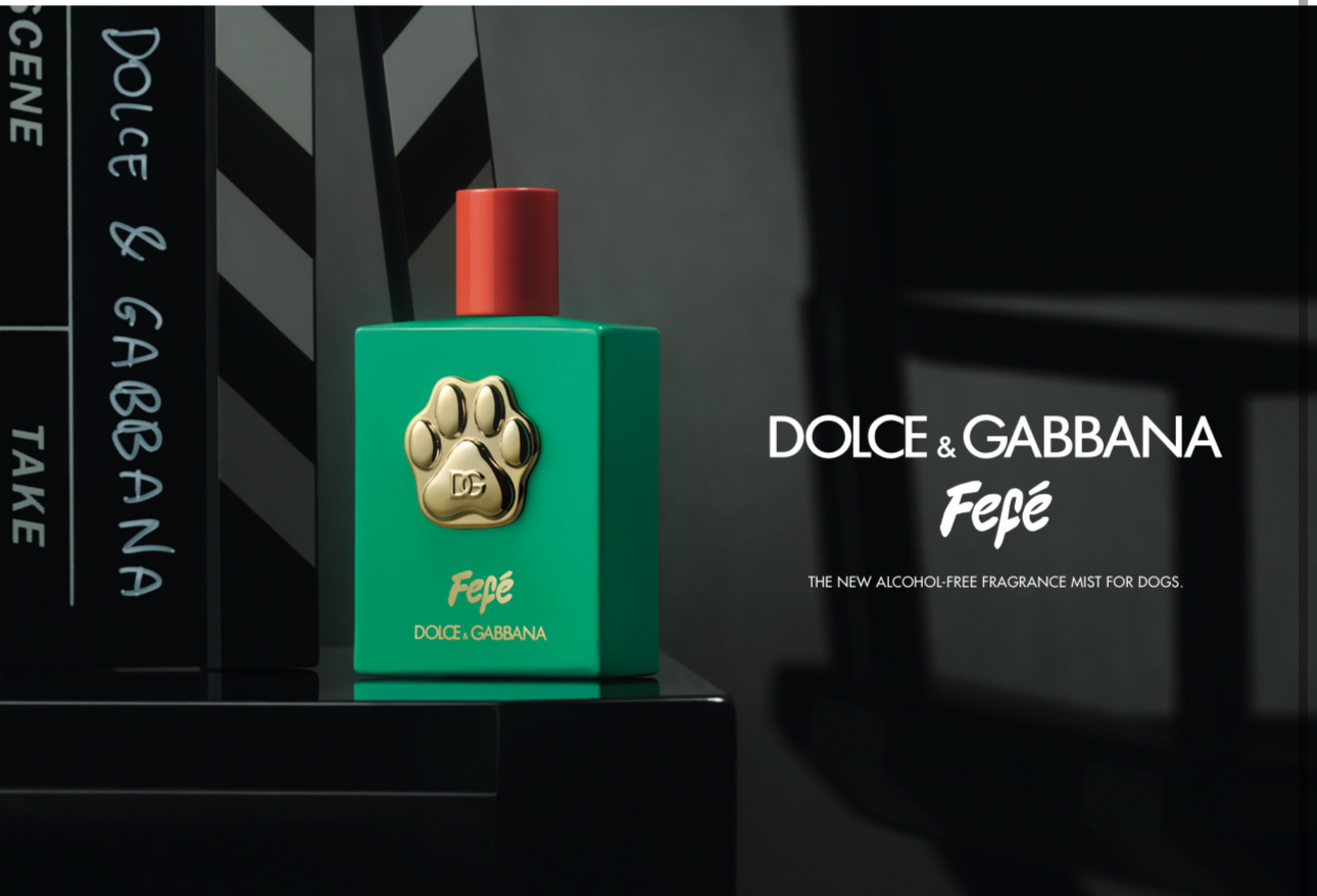 Dolce&Gabbana presents Fefé, the brand’s 1st alcohol-free fragrance for dogs.