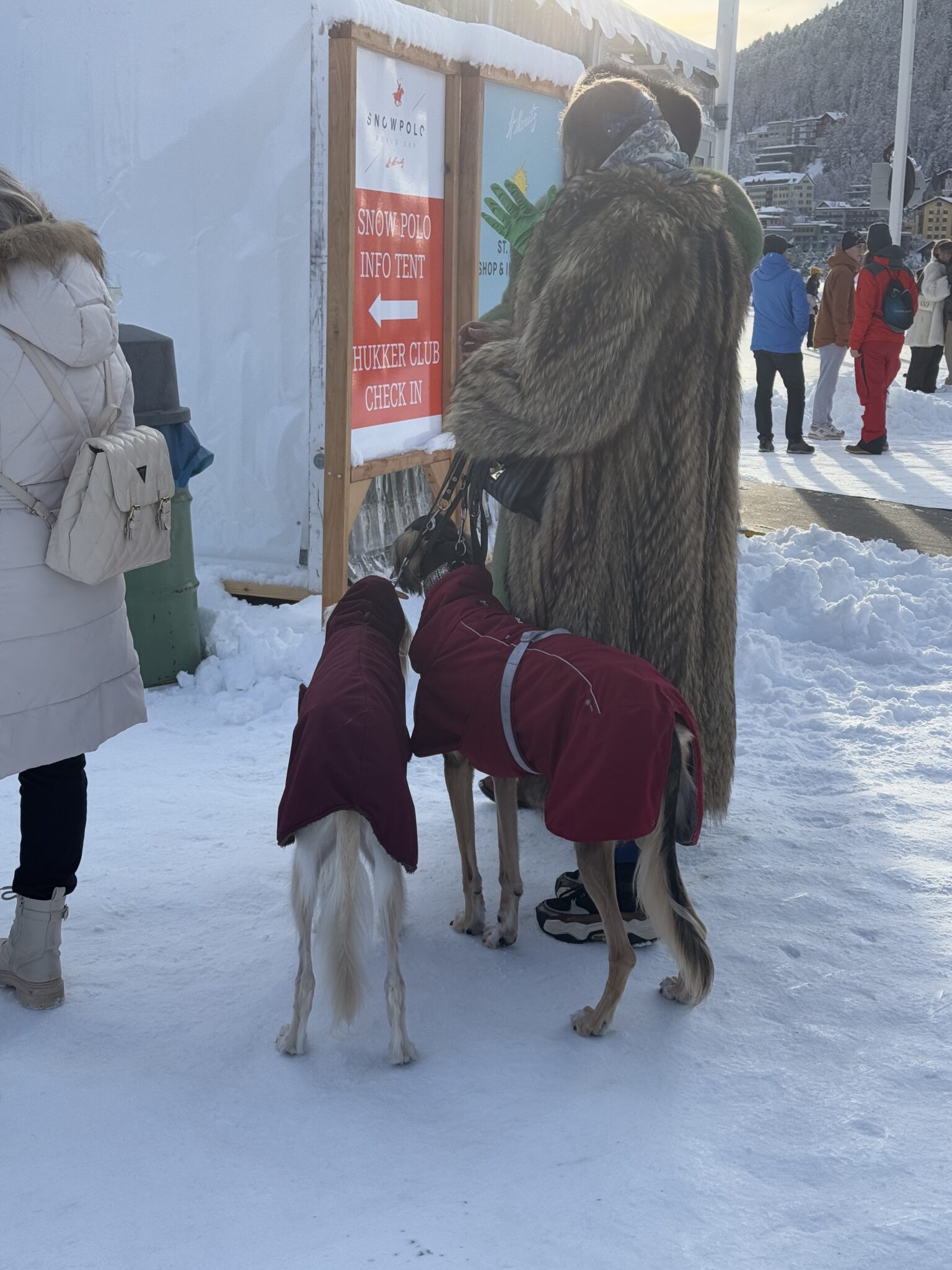 40 Years of Snow Polo in St. Moritz: A Celebration of Sport, Luxury, and Style. All you need to know about this incredible event.